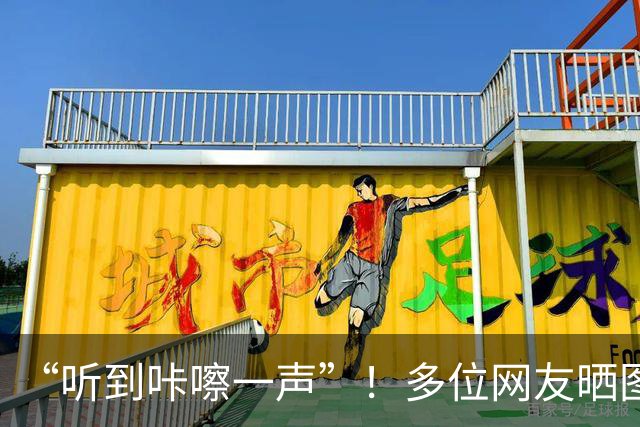 “听到咔嚓一声”！多位网友晒图：iPhone Duo刚到手屏幕就裂开，维修费最高近8000元