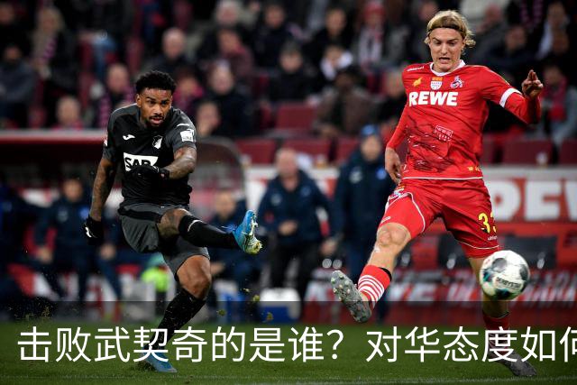 击败武契奇的是谁？对华态度如何？下一步中塞关系怎么走？