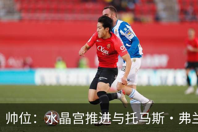 帅位：水晶宫推进与托马斯·弗兰克的接替接触