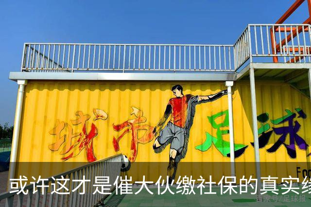 或许这才是催大伙缴社保的真实缘由！早先企业 个人缴不缴 缴多缴少