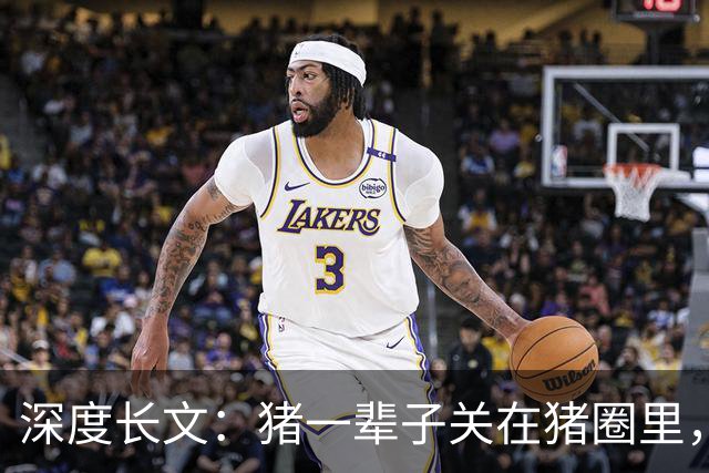 深度长文：猪一辈子关在猪圈里，为什么不会"憋疯"抑郁？其实它会