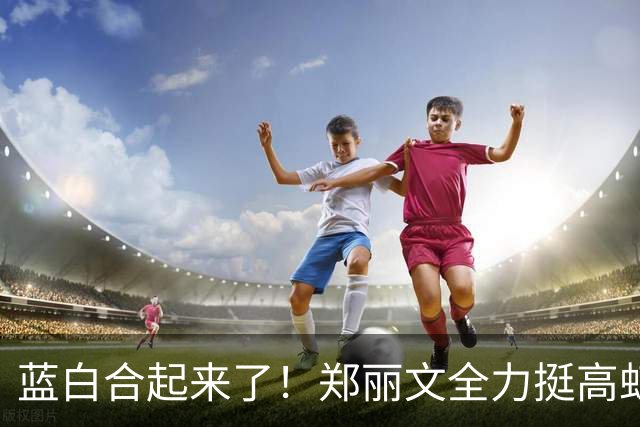 蓝白合起来了！郑丽文全力挺高虹安，国民党内部却各有各的盘算！